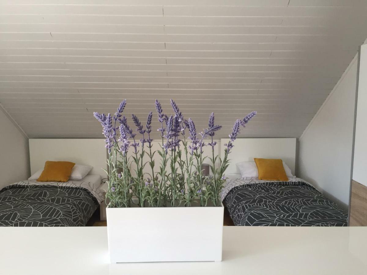 Apartman Studio Sonas 3 With Free Private Parking كارلوفاتش المظهر الخارجي الصورة