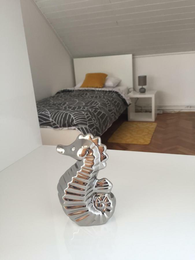 Apartman Studio Sonas 3 With Free Private Parking كارلوفاتش المظهر الخارجي الصورة